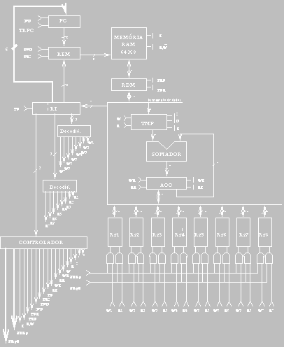 Organiza&ccedil;&atilde;o